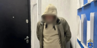 В Астрахани задержали двоих мужчин, застреливших кота на глазах у хозяйки - Комсомольская Правда