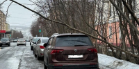 дерево упало на крышу машины - ИА Nord-News.Ru