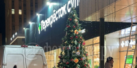В Петербурге заметили первую новогоднюю елку — до праздника осталось 75 дней - Online47.Ru