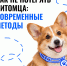 Безопасность питомца во многом зависит от готовности владельца к неожиданным обстоятельствам: иногда достаточно секунды, чтобы животное убежало. - Департамент ветеринарии