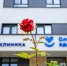 Картинка - Regions.Ru