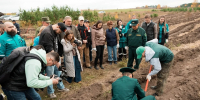 Берег реки Казанки в РТ укрепили высадкой 5000 деревьев - Комсомольская правда Казань