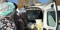 В Елабуге проходит сельскохозяйственная ярмарка с широким ассортиментом товаров - Газета Новая Кама