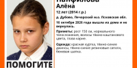 Изображение из группы поискового отряда «ЛизаАлерт» в соцсети «ВКонтакте» - InformPskov.Ru