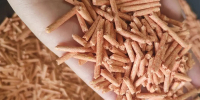 В Кировской области из отходов лесопиления создали инновационные продукты для животных - ГТРК Вятка