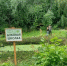Замглавы Таганрога Долматов запретил…дубкам расти в “Дубках” - Bloknot-Taganrog.Ru