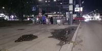 Пожухший подземный переход расстраивает жителей Воронежа - Bloknot-Voronezh.Ru