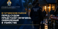 В СНТ «Огонек» произошло убийство женщины - SyasNews.Ru