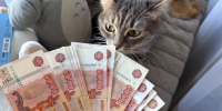 В 2026 году свыше 400 пензенских многодетных семей оформили выплату для погашения ипотеки через Госуслуги - Progorod58.Ru