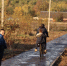 Картинка - Regions.Ru