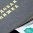Раскрыт размер пособия по безработице в 2027 году - Кингисепп-сегодня.рф