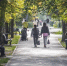 До +16 градусов потеплеет в Новосибирской области 19 октября - Сиб.фм