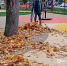 В Белгороде 135 коммунальщиков и 37 единиц техники вышли на уборку города - Сетевое издание Победа 31