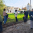 На  общегородском субботнике  собрали свыше 5 тысяч мешков опавших листьев - Городские Известия