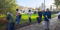 На  общегородском субботнике  собрали свыше 5 тысяч мешков опавших листьев - Городские Известия