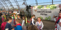 Юбилейный праздник ижорской репы на «Веси» посвятят топинамбуру - ЛенТВ24