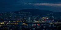 Страшная ночь в Мурманске. В пожаре погибла собака - Телекомпания ТВ-21