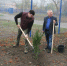В Зерноградском районе высадили новые деревья и кустарники - Зерноградский район
