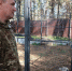 Численность медведей в Алтайском крае заметно выросла Фото №1 - Алтайская правда