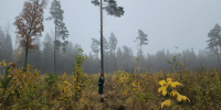 Картинка - Regions.Ru