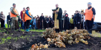 На Куликовом поле высадили 5,5 тысяч деревьев - ГТРК