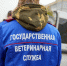 Ветеринарным специалистам компенсируют наём жилья - Город Ч.