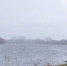 Фото: ПАИ - InformPskov.Ru