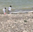 Проект капремонта Цимлянского водохранилища получил положительную оценку госэкспертизы - DonDay-Volgodonsk.Ru