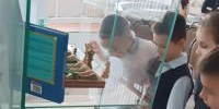Библиотека - волшебный город книг   - Библиотеки Звенигорода