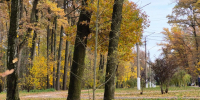 Тепло не покинет Тульскую область 18 октября - Молодой коммунар