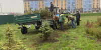 В Белгородском муниципальном округе не прекращается благоустройство территорий. - Администрация Белгородского района