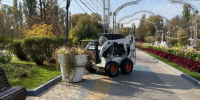 Городские цветы Белгорода ушли в отпуск - Мир Белогорья