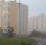 Ночью и утром в Тульской области будет сильный туман - ГТРК