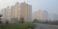 Ночью и утром в Тульской области будет сильный туман - ГТРК