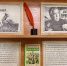 Новая книжная выставка в Лаишеве посвящена 95-летию Анатолия Приставкина - Камская новь