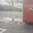 Mercedes врезался в кофейню в Нижнем Новгороде: пострадали бариста и посетительница - ProGorodNN.Ru