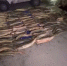 Браконьер в Дагестане с незаконным уловом пытался скрыться от сотрудников полиции - РИА Дагестан