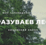 Древняя дубрава площадью в 7 гектаров уцелела в Кимовском районе - Молодой коммунар