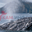 Молодые серые киты на Камчатке не спешат покидать Кроноцкий залив - КамИНФОРМ