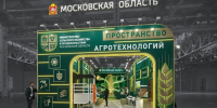 Макет стенда Московской области на «Золотой осени» - Regions.Ru