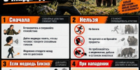 Что делать при встрече с медведем. - Ермаковский район