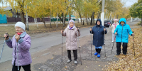 В Славгороде для старшего поколения провели спортивный час по скандинавской ходьбе - Минсоцзащиты Алтайского края