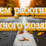Поздравляю всех работников дорожного хозяйства  с профессиональным праздником! - Сетевое издание Знамя 33