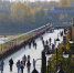 18 октября в Оренбуржье столбики термометров поднимутся до +21°C - Газета Оренбуржье