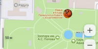 Воронежский зоопарк пережил мем-атаку кривомордыми конями - Bloknot-Voronezh.Ru