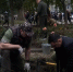 В муниципалитетах Ростовской области прошел осенний День древонасаждения - Комсомольская правда
