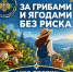 Советы для любителей «тихой охоты» - ГУ МЧС России