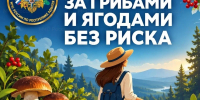 Советы для любителей «тихой охоты» - ГУ МЧС России