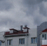 Фото: Алина Дьякова/«Ямал-Медиа» - Ямал-Медиа