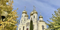 В. Володин поздравил россиян с Днем отца - Вольская жизнь